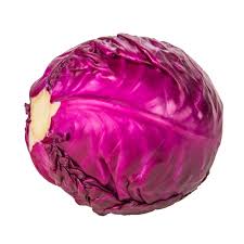 redcabbage.jpeg (6632 bytes)